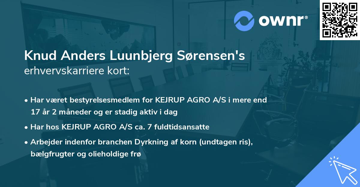 Knud Anders Luunbjerg Sørensen's erhvervskarriere kort