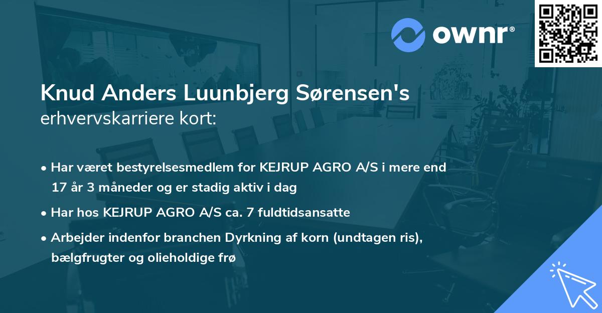 Knud Anders Luunbjerg Sørensen's erhvervskarriere kort