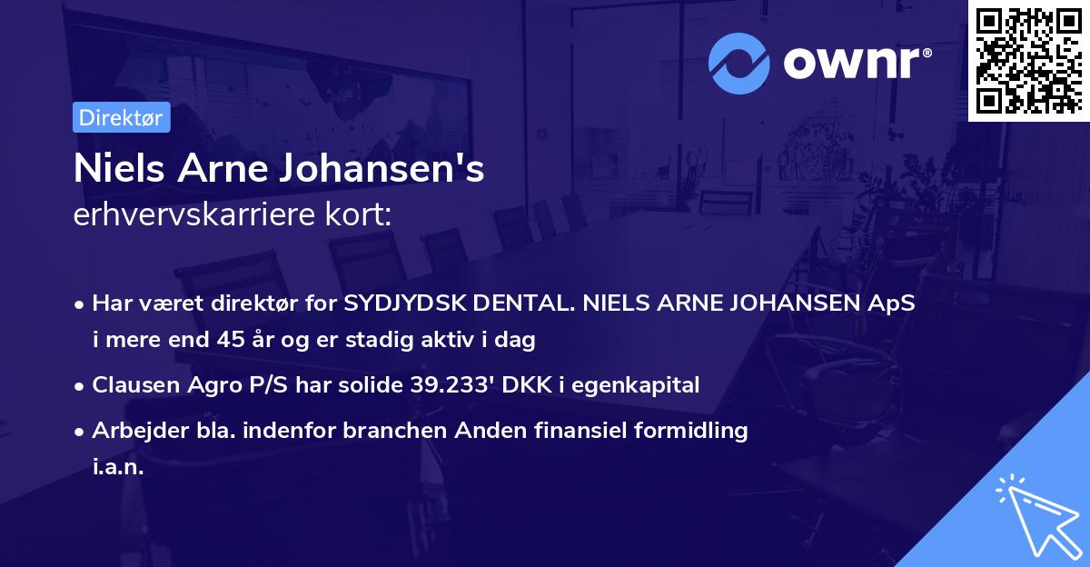 Niels Arne Johansen's erhvervskarriere kort