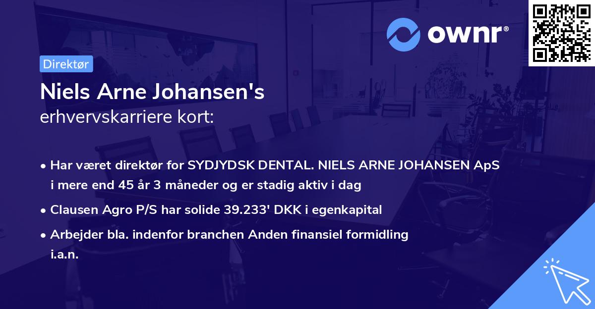 Niels Arne Johansen's erhvervskarriere kort