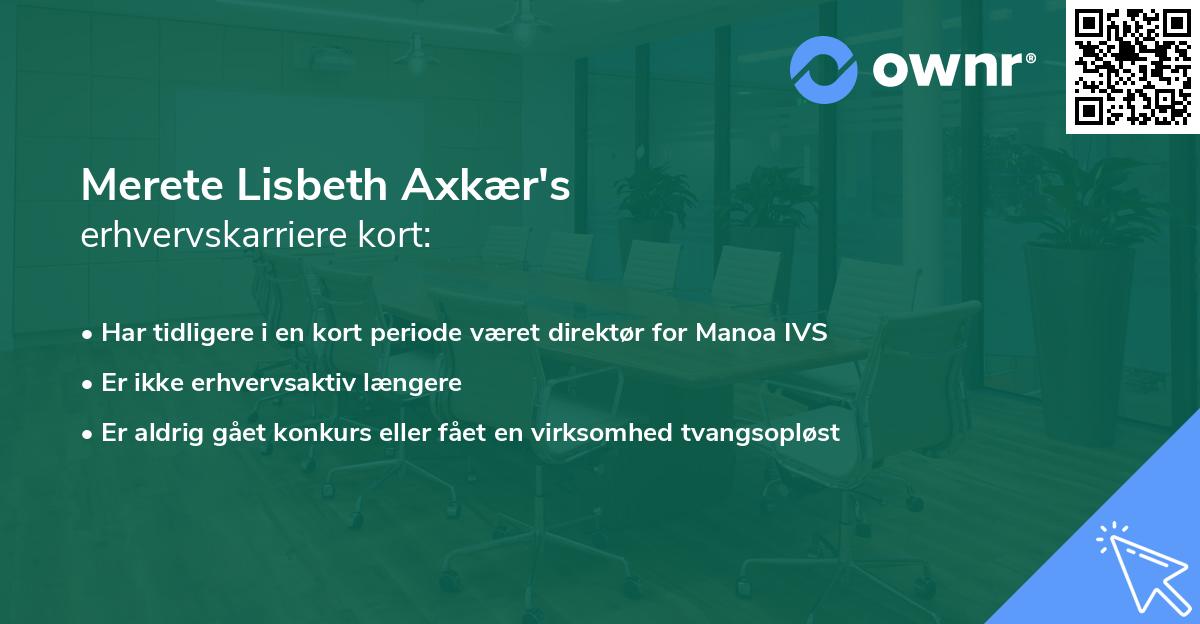 Merete Lisbeth Axkær's erhvervskarriere kort
