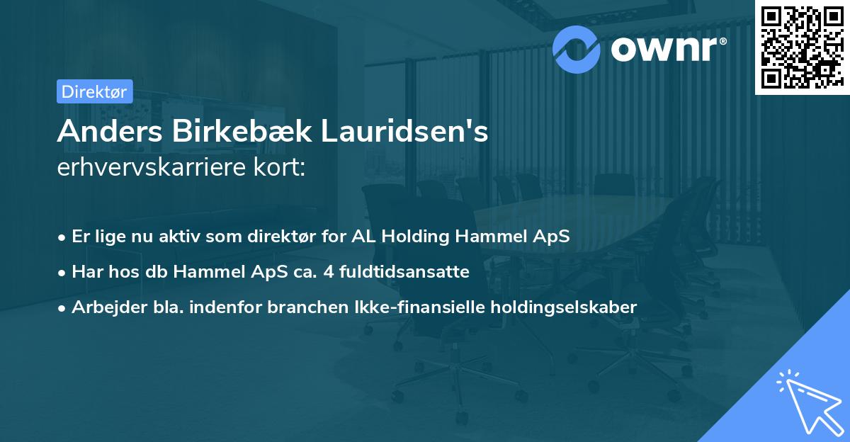 Anders Birkebæk Lauridsen's erhvervskarriere kort