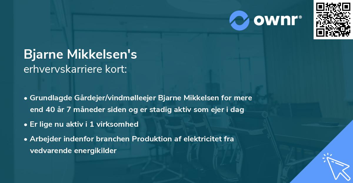 Bjarne Mikkelsen's erhvervskarriere kort