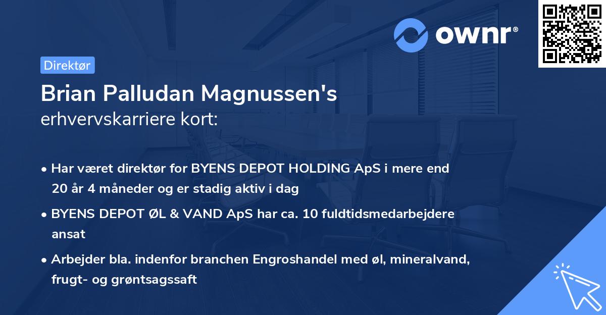 Brian Palludan Magnussen's erhvervskarriere kort