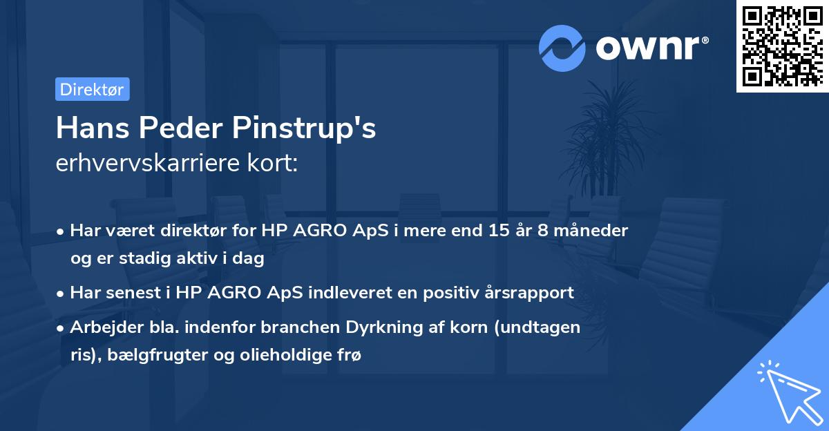 Hans Peder Pinstrup's erhvervskarriere kort