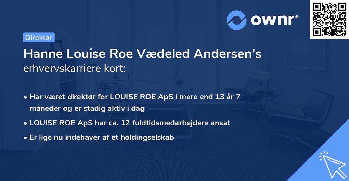 Hanne Louise Roe Vædeled Andersen's erhvervskarriere kort