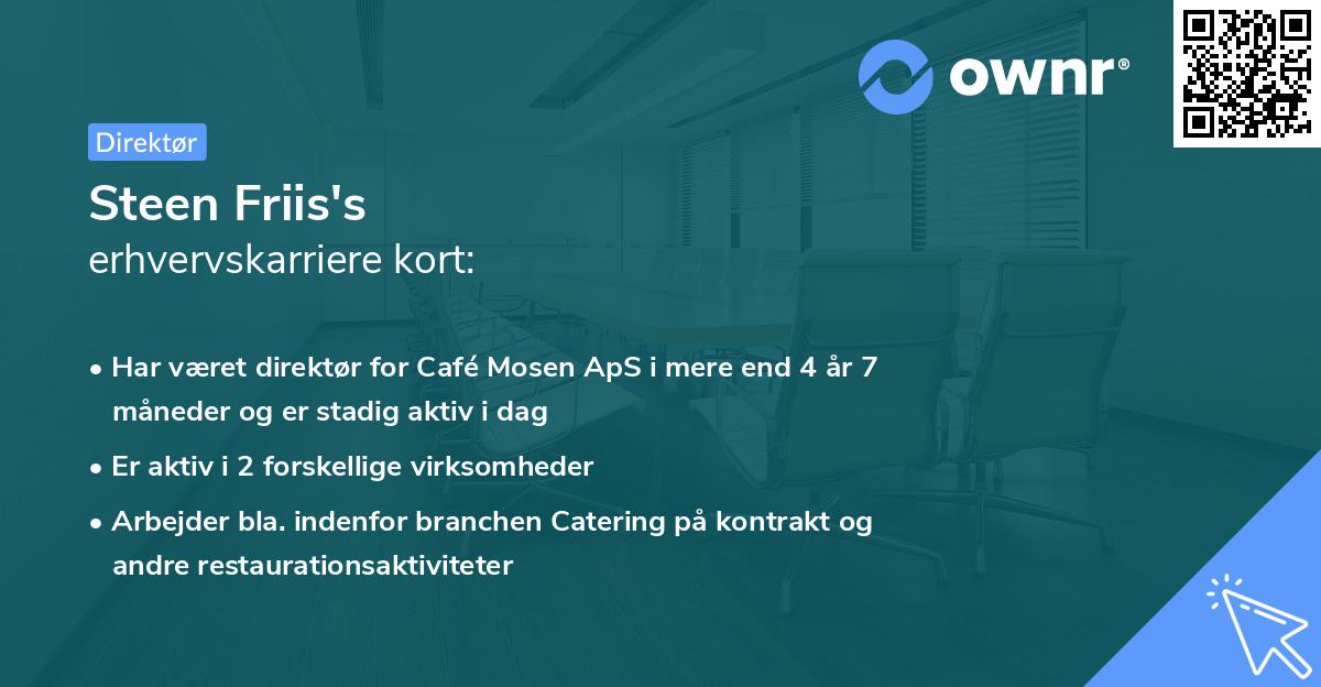 Steen Friis's erhvervskarriere kort
