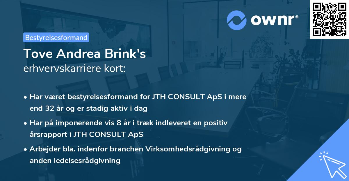 Tove Andrea Brink's erhvervskarriere kort