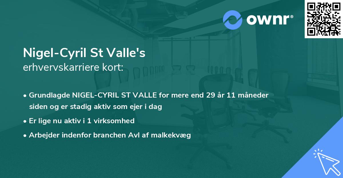 Nigel-Cyril St Valle's erhvervskarriere kort