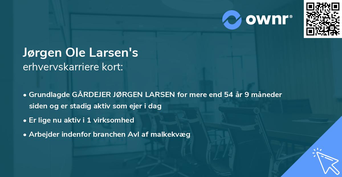 Jørgen Ole Larsen's erhvervskarriere kort