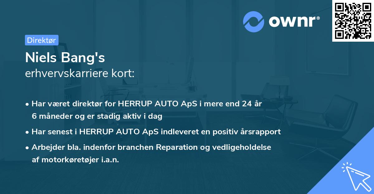 Niels Bang's erhvervskarriere kort