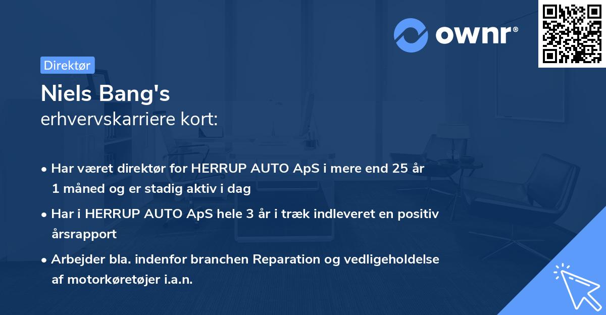 Niels Bang's erhvervskarriere kort