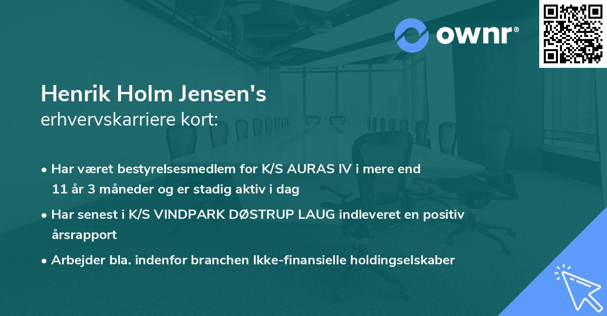 Henrik Holm Jensen's erhvervskarriere kort