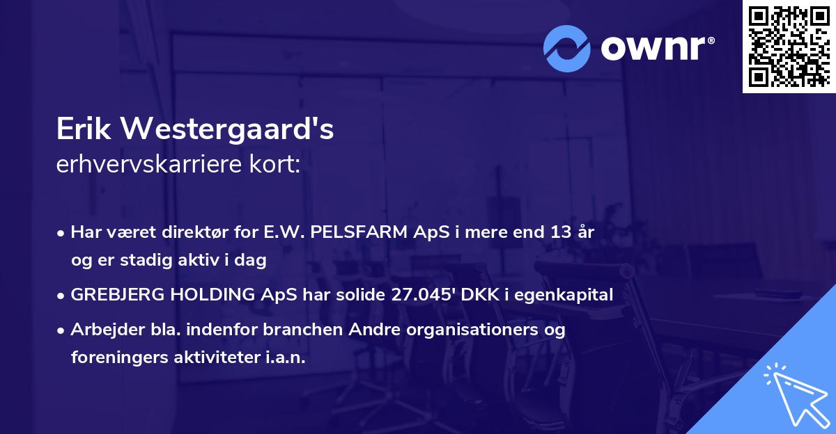 Erik Westergaard's erhvervskarriere kort