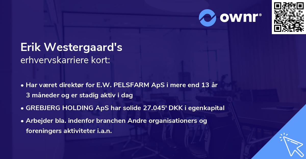 Erik Westergaard's erhvervskarriere kort