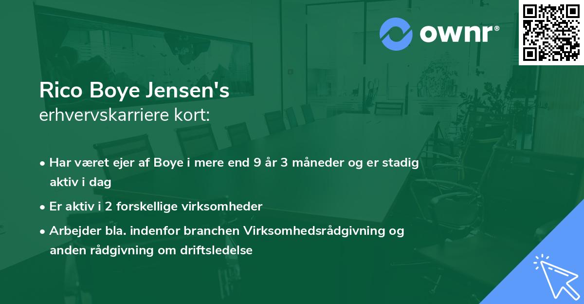 Rico Boye Jensen's erhvervskarriere kort