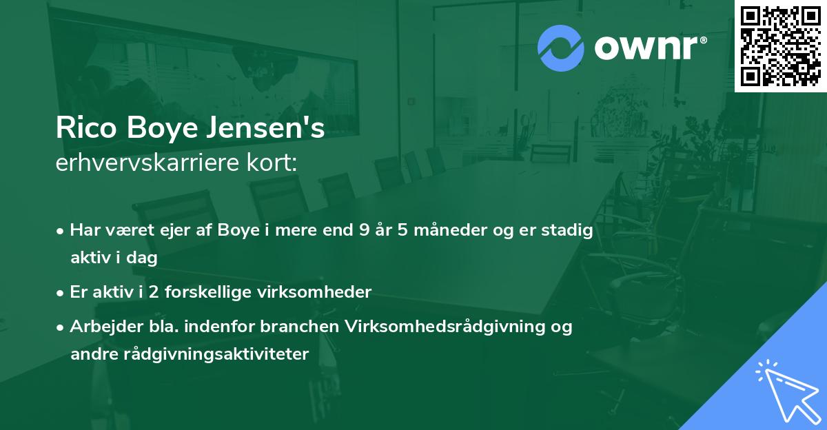 Rico Boye Jensen's erhvervskarriere kort