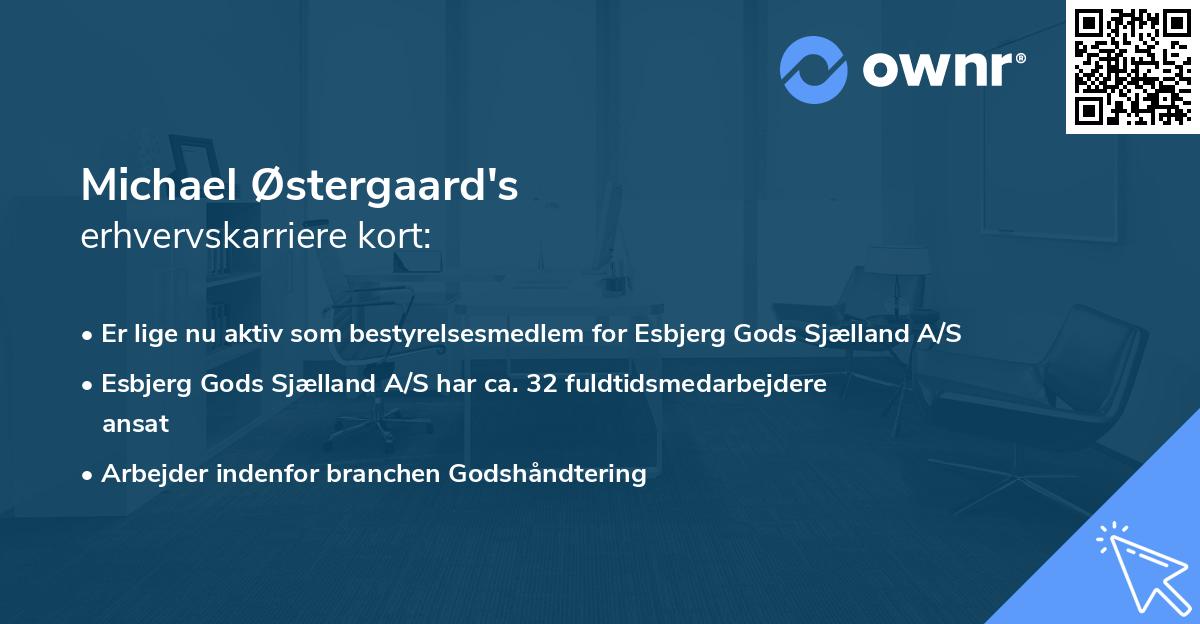 Michael Østergaard's erhvervskarriere kort