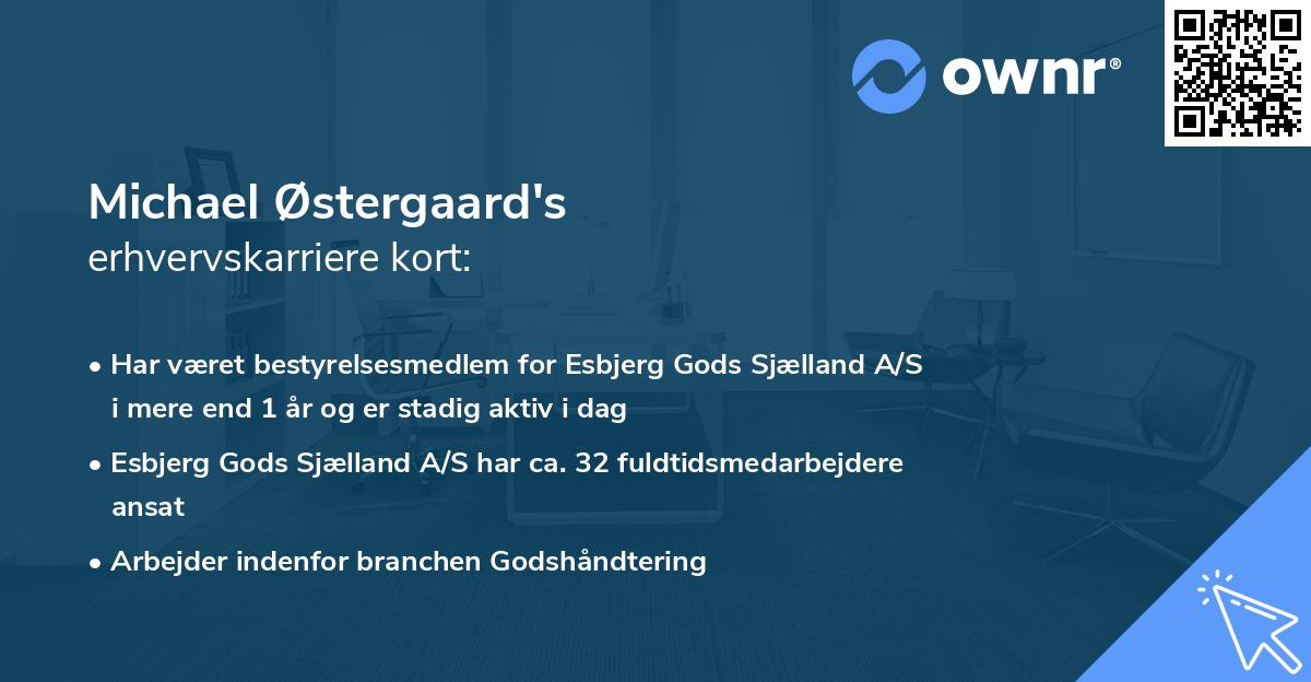 Michael Østergaard's erhvervskarriere kort