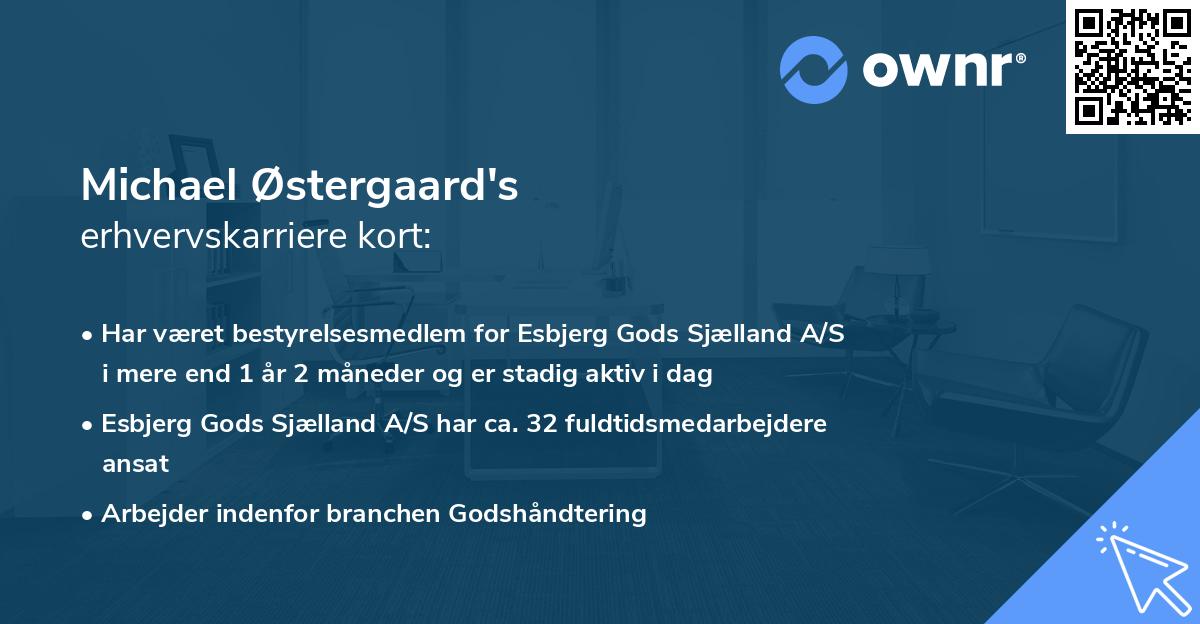 Michael Østergaard's erhvervskarriere kort