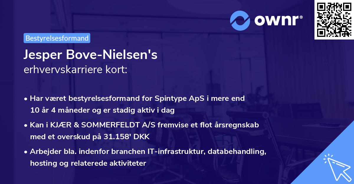 Jesper Bove-Nielsen's erhvervskarriere kort