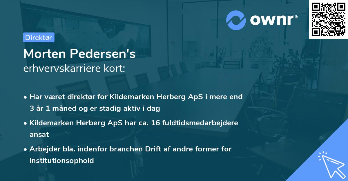 Morten Pedersen's erhvervskarriere kort