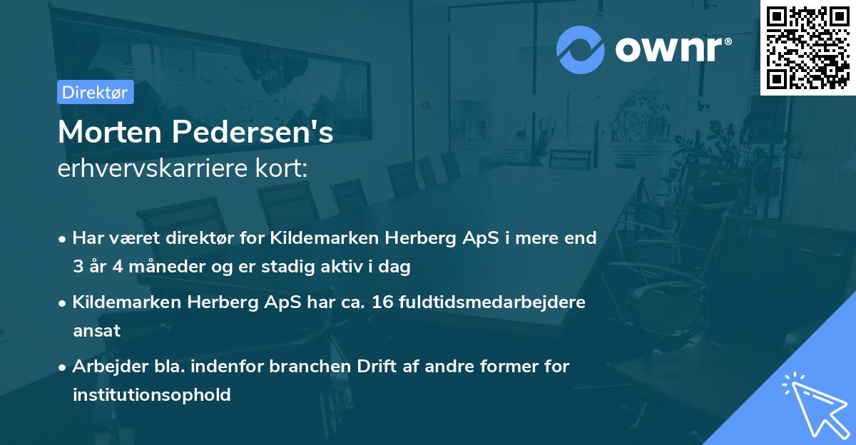 Morten Pedersen's erhvervskarriere kort