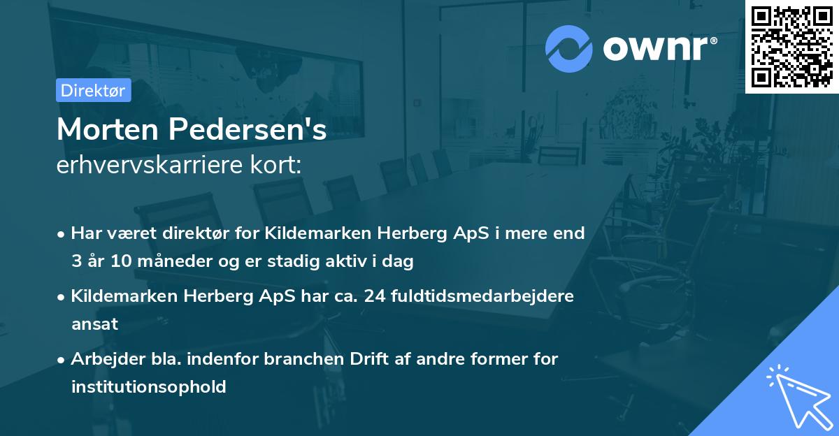 Morten Pedersen's erhvervskarriere kort