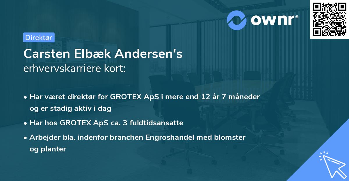Carsten Elbæk Andersen's erhvervskarriere kort