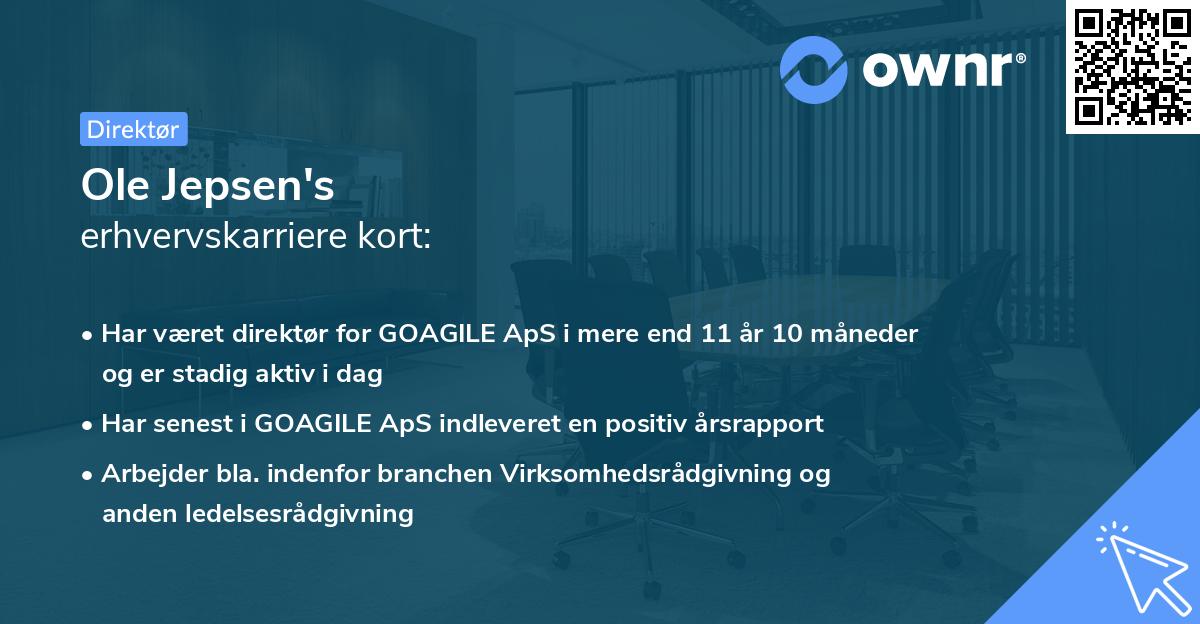Ole Jepsen's erhvervskarriere kort
