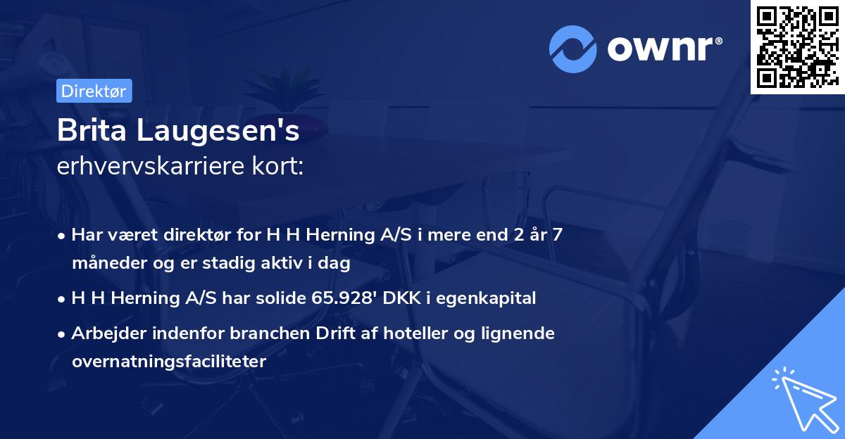 Brita Laugesen's erhvervskarriere kort