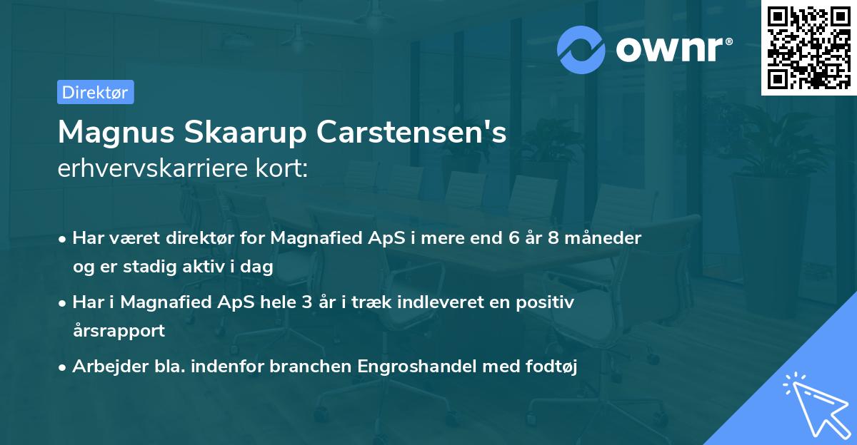 Magnus Skaarup Carstensen's erhvervskarriere kort