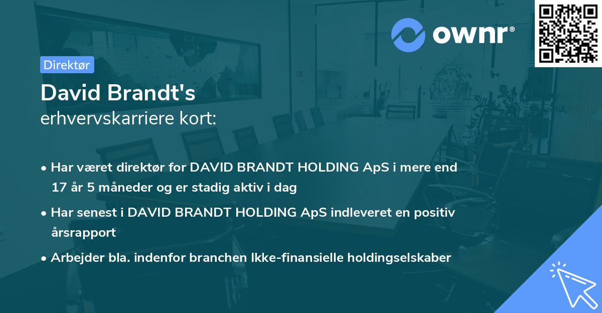 David Brandt's erhvervskarriere kort