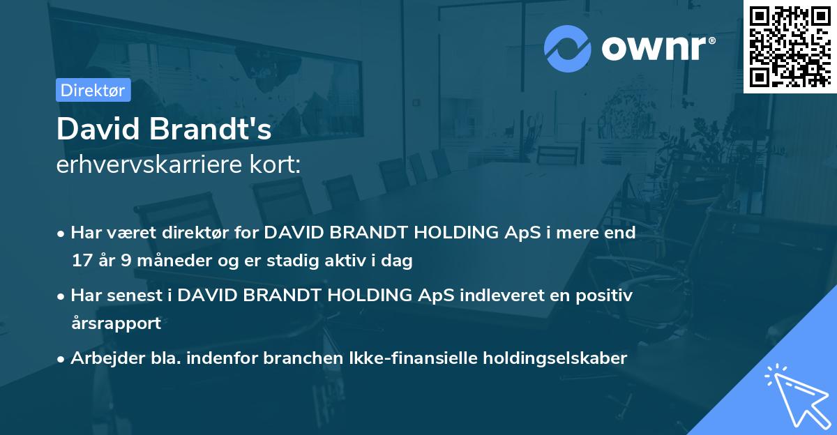 David Brandt's erhvervskarriere kort