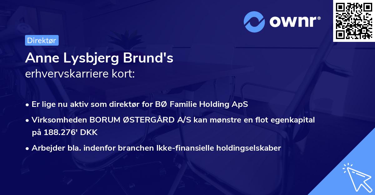 Anne Lysbjerg Brund's erhvervskarriere kort