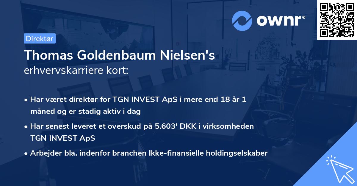 Thomas Goldenbaum Nielsen's erhvervskarriere kort