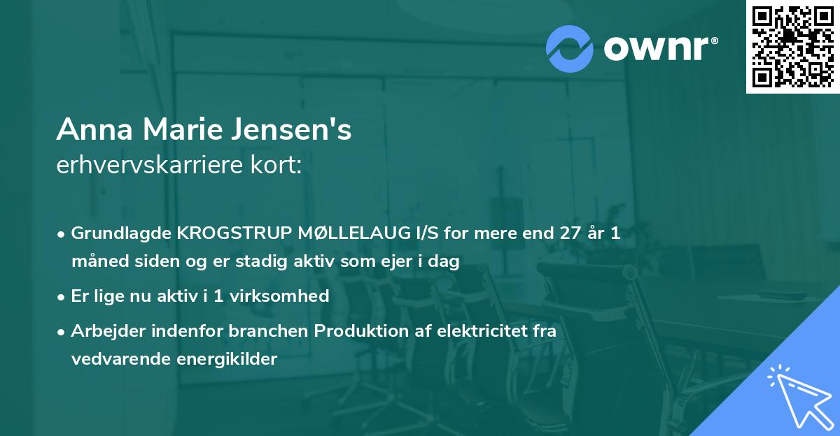 Anna Marie Jensen's erhvervskarriere kort