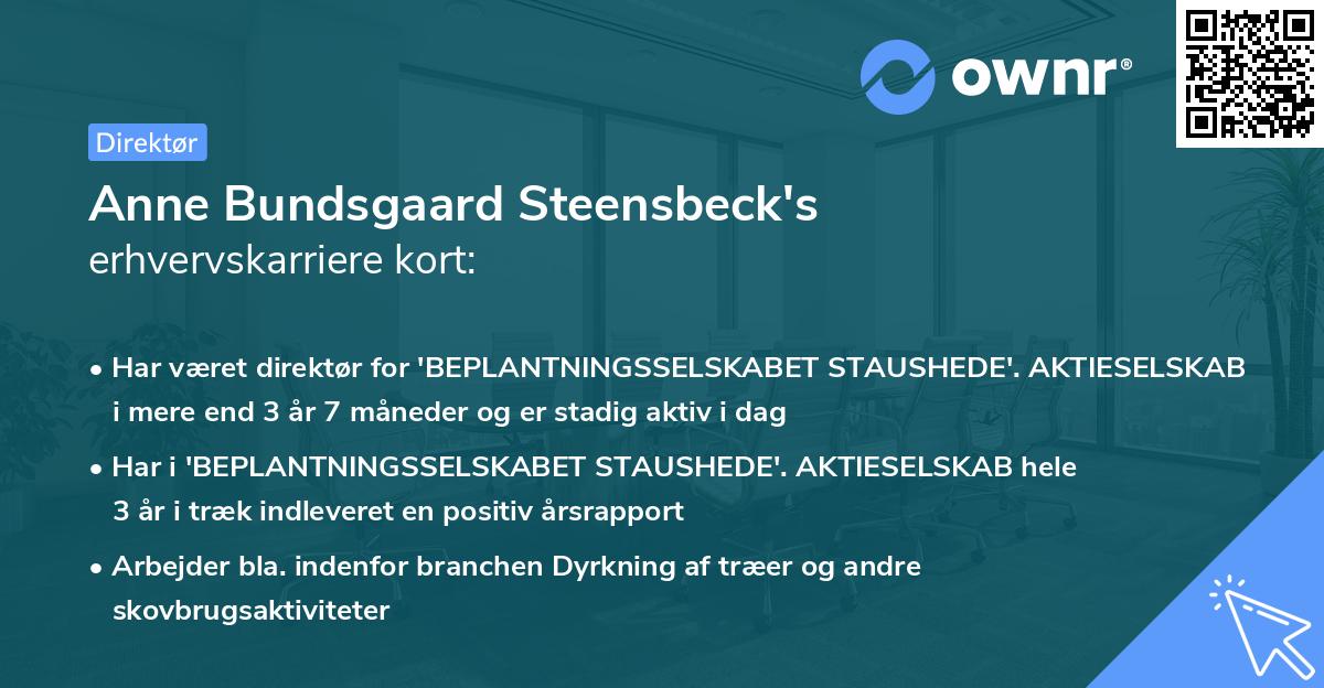 Anne Bundsgaard Steensbeck's erhvervskarriere kort