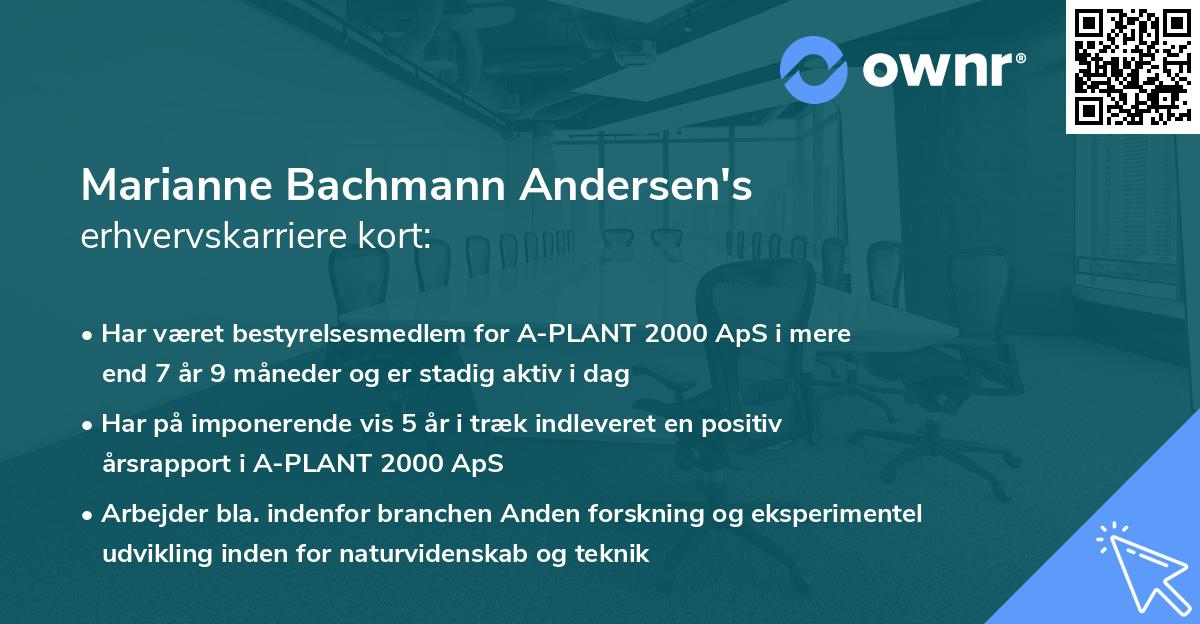 Marianne Bachmann Andersen's erhvervskarriere kort