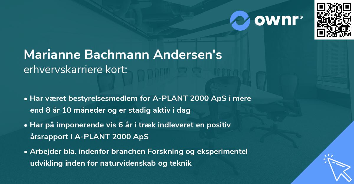 Marianne Bachmann Andersen's erhvervskarriere kort