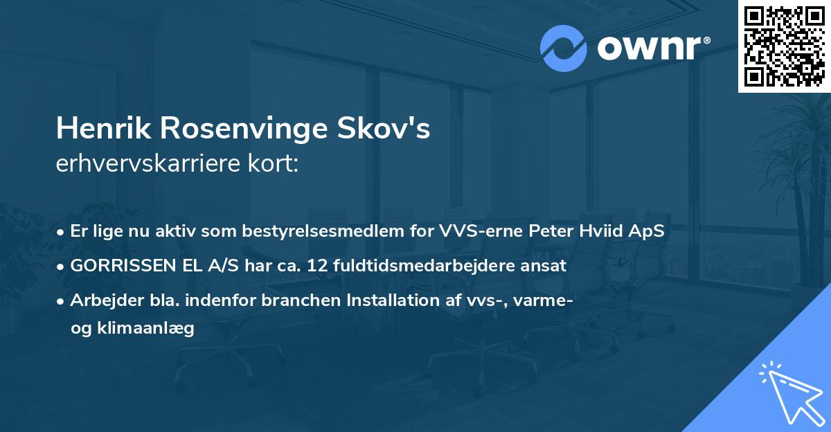 Henrik Rosenvinge Skov's erhvervskarriere kort