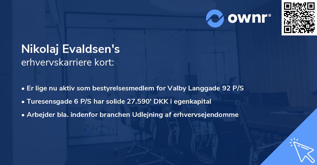 Nikolaj Evaldsen's erhvervskarriere kort