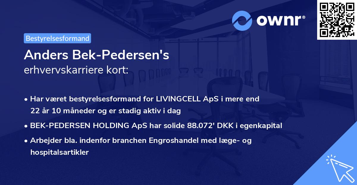 Anders Bek-Pedersen's erhvervskarriere kort
