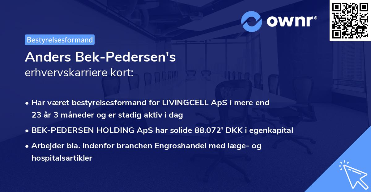 Anders Bek-Pedersen's erhvervskarriere kort