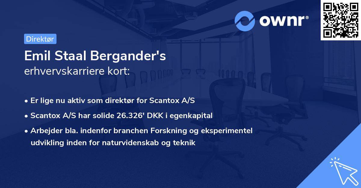 Emil Staal Bergander's erhvervskarriere kort