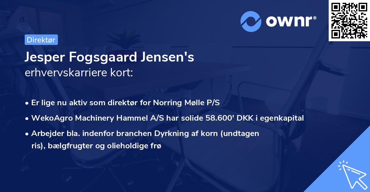 Jesper Fogsgaard Jensen's erhvervskarriere kort