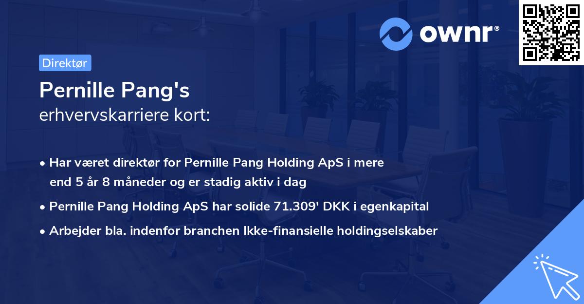 Pernille Pang's erhvervskarriere kort