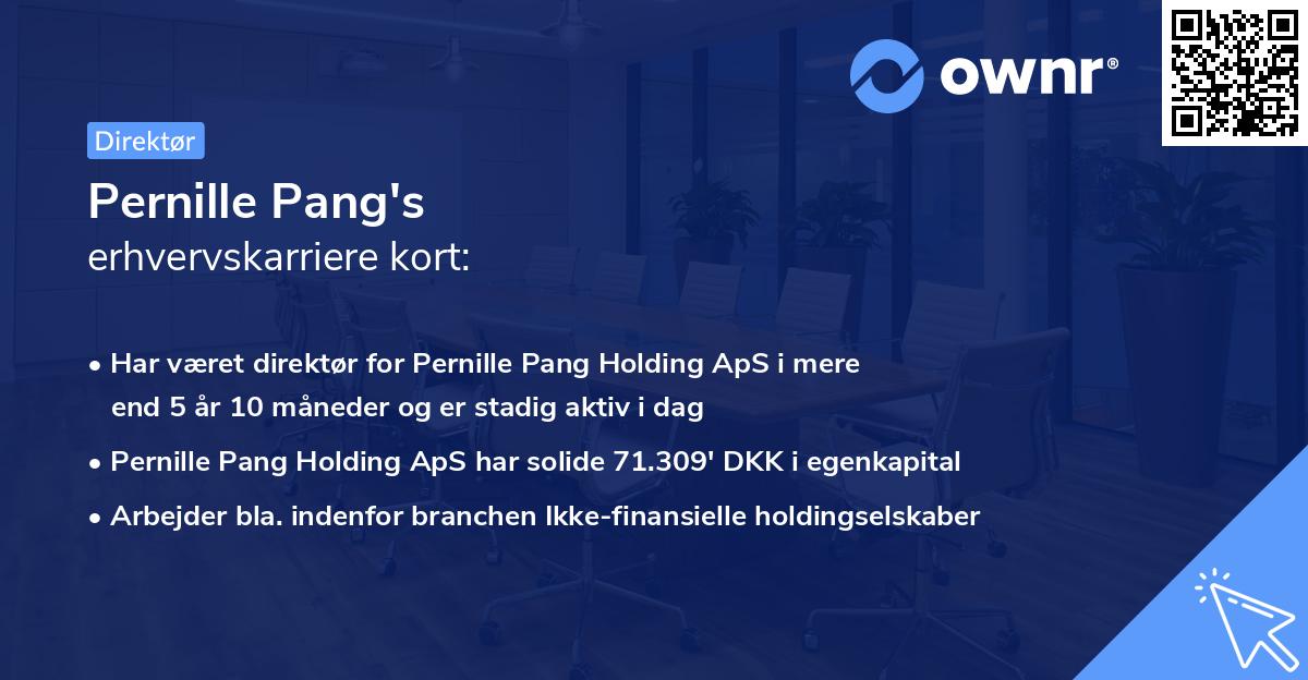 Pernille Pang's erhvervskarriere kort