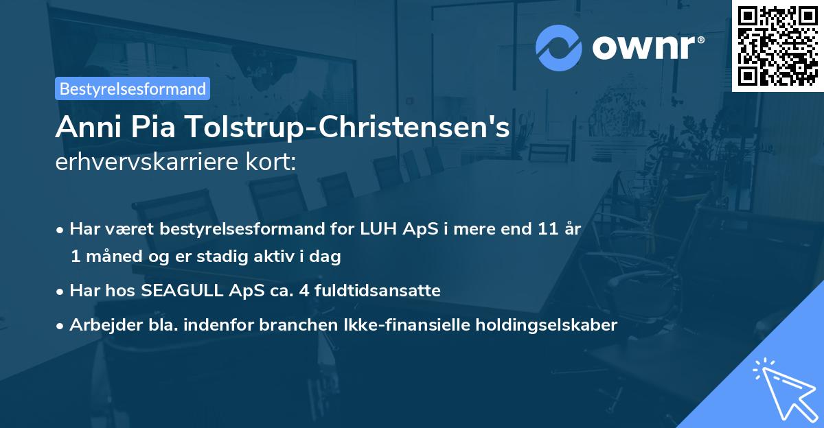 Anni Pia Tolstrup-Christensen's erhvervskarriere kort