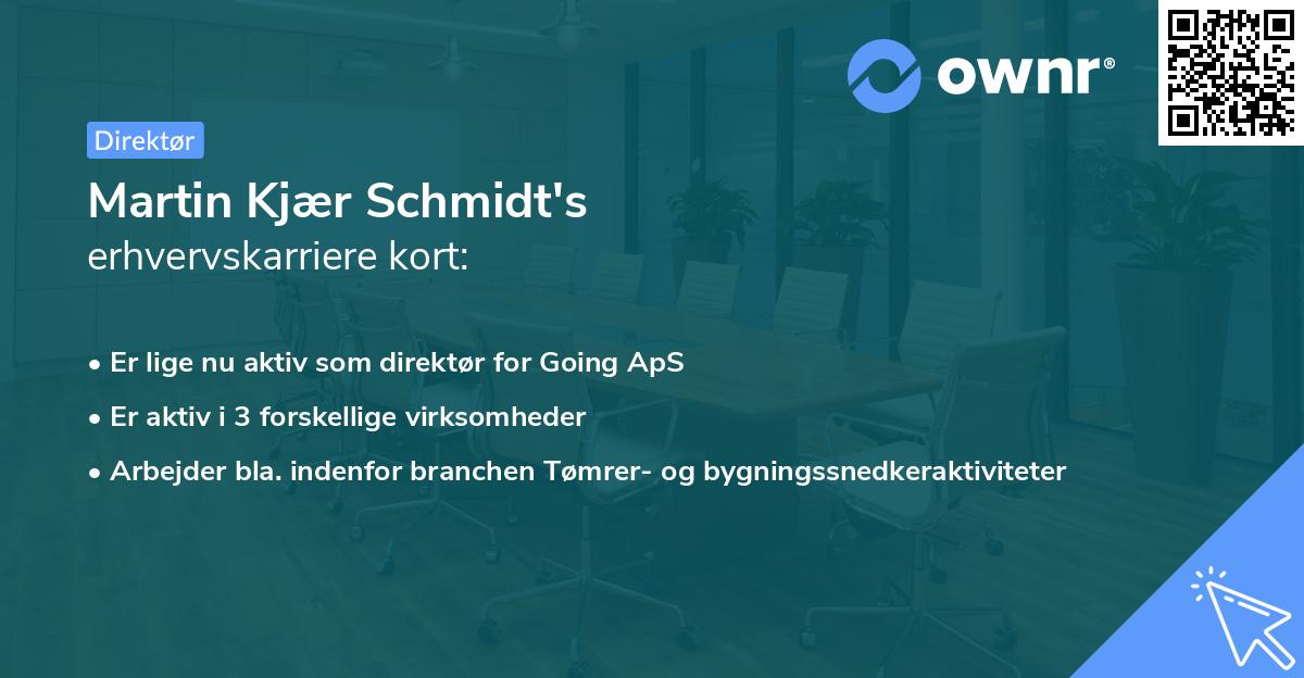 Martin Kjær Schmidt's erhvervskarriere kort